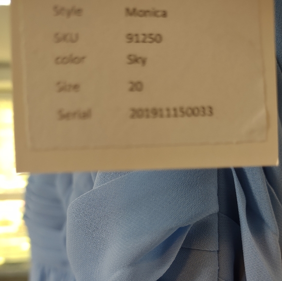 Brideside Bridesmaid Dress NWT size 20 unaltered Monica Sky Blue - Picture 3 of 7